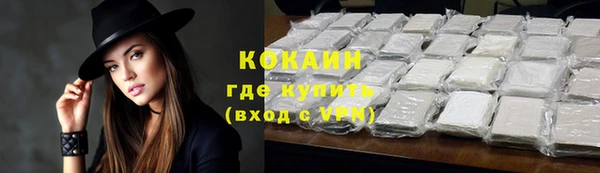 эйфоретик Арсеньев