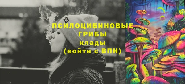 стафф Аркадак