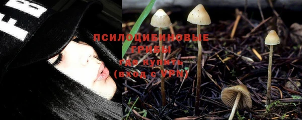 стафф Аркадак