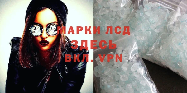 стафф Аркадак